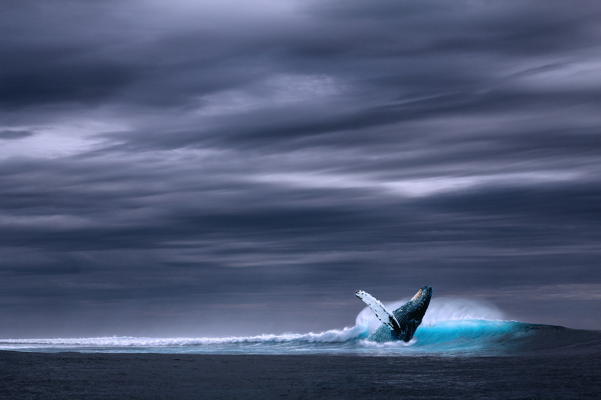 blue economy